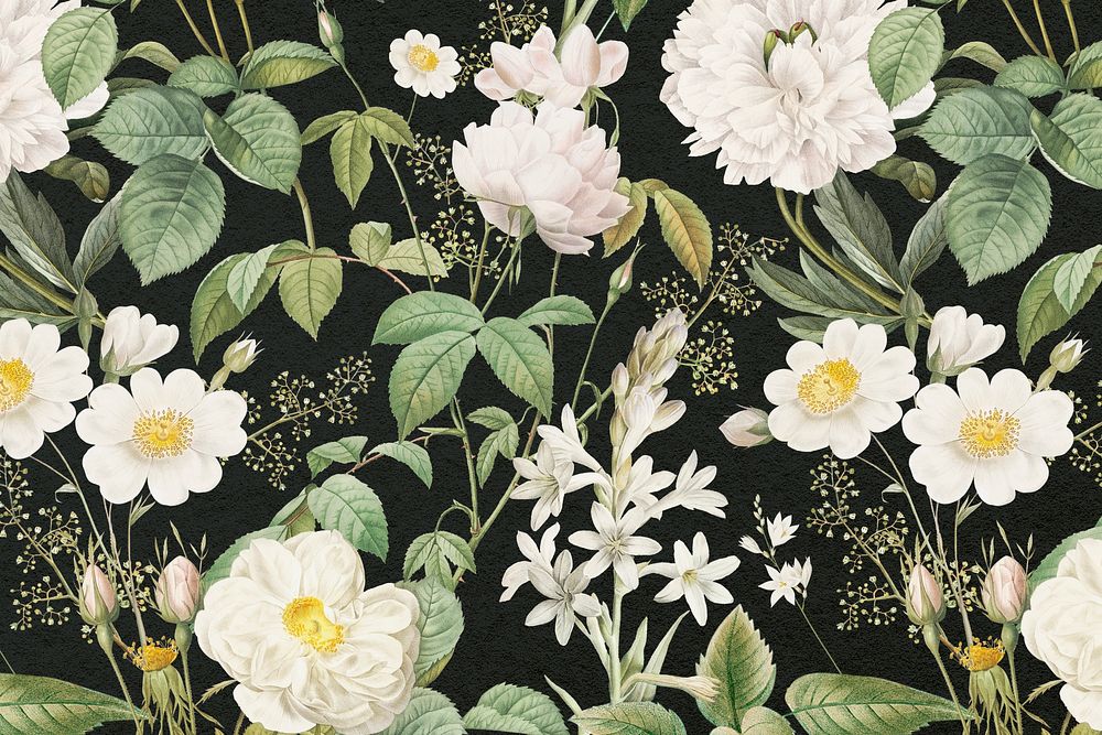 Floral pattern background, white botanical design, remixed from original artworks by Pierre Joseph Redout&eacute;