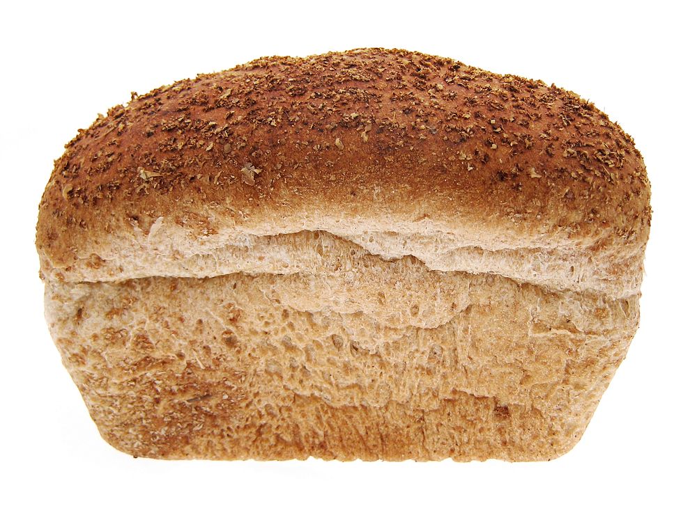 Free close up single toasted bun image,  public domain food CC0 photo.