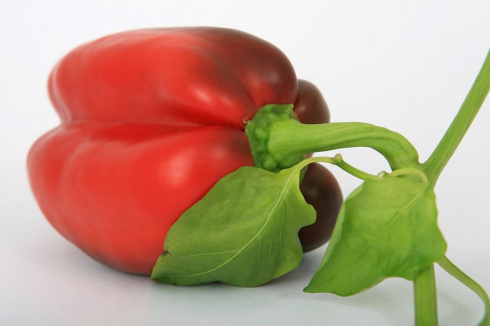 Free red bell pepper image, public domain food CC0 photo.