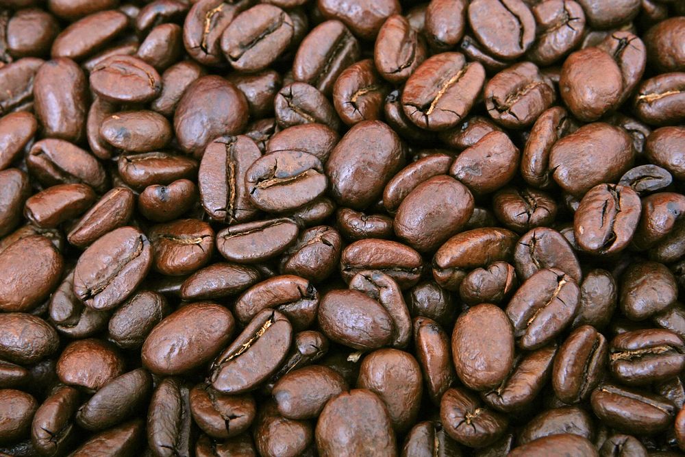 Free coffee beans image, public domain food & beverage CC0 photo.