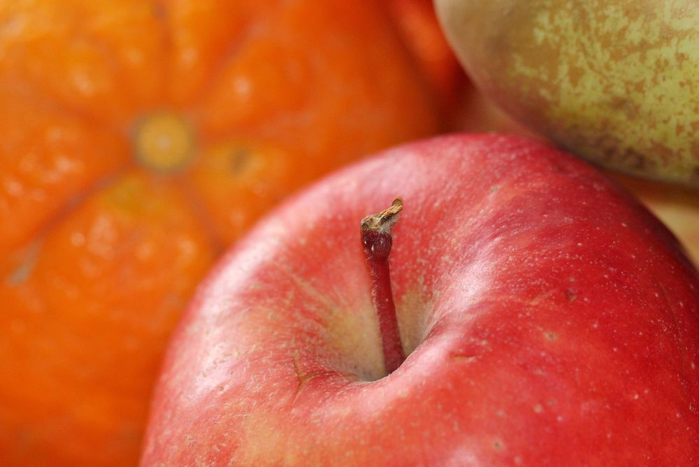 Free close up fresh red apple image, public domain food CC0 photo.