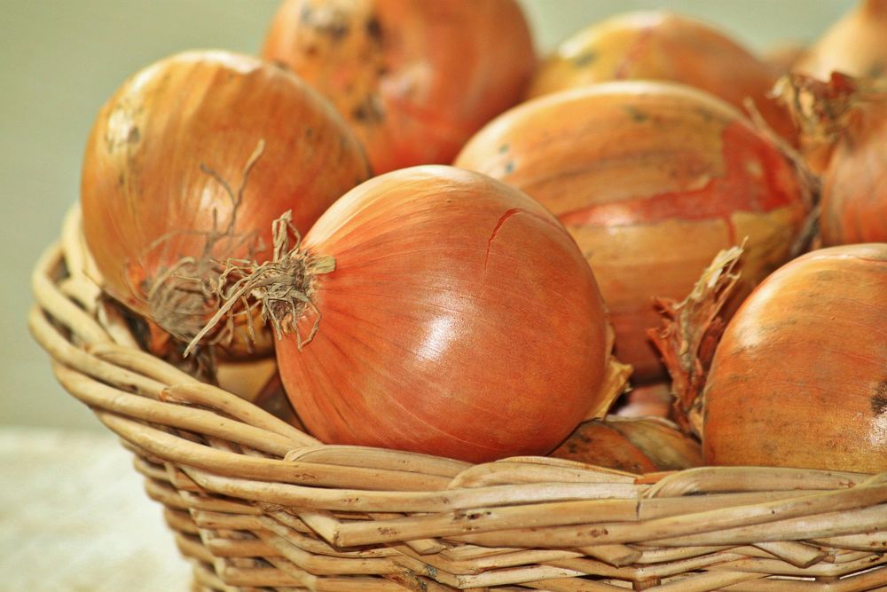 Free close up onions in basket image, public domain vegetable CC0 photo.