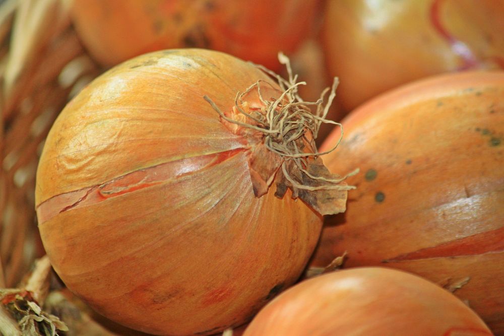 Free onion close up in the basket photo, public domain vegetable CC0 image.