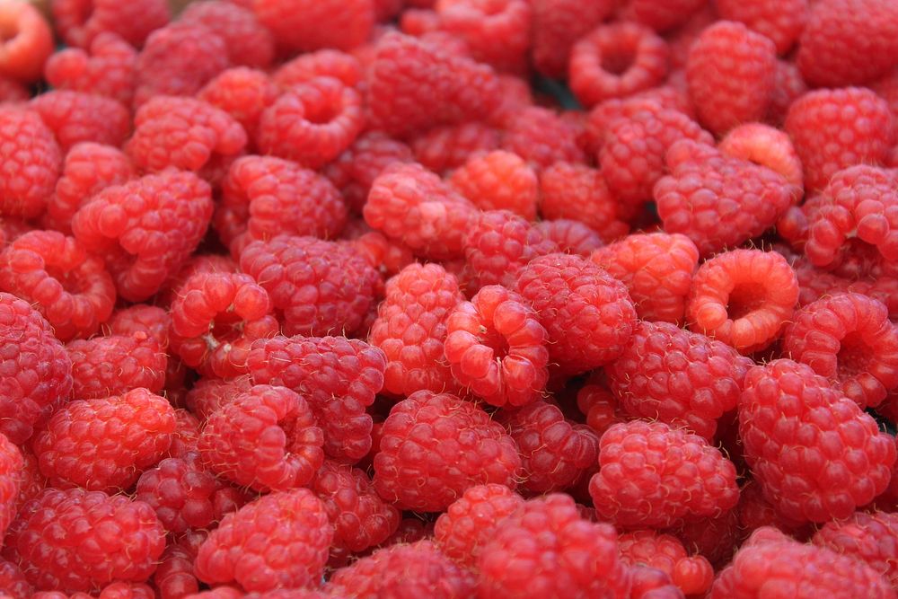 Free raspberries images, public domain fruit CC0 photo.