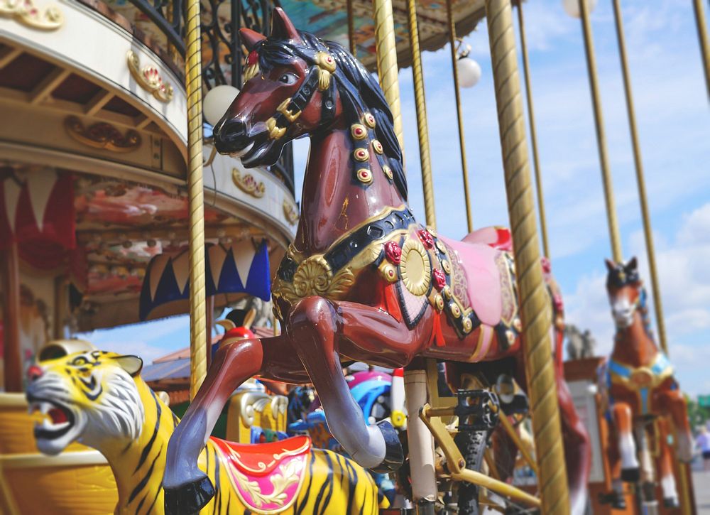 Free carousel horse image, public domain amusement park CC0 photo.