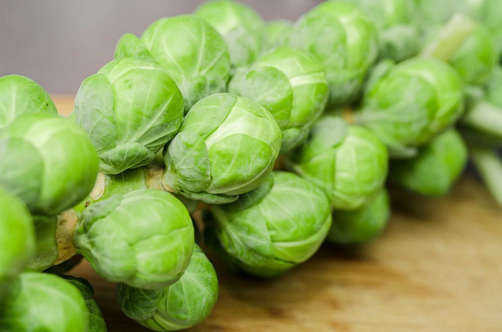 Free brussels sprouts image, public domain food CC0 photo.