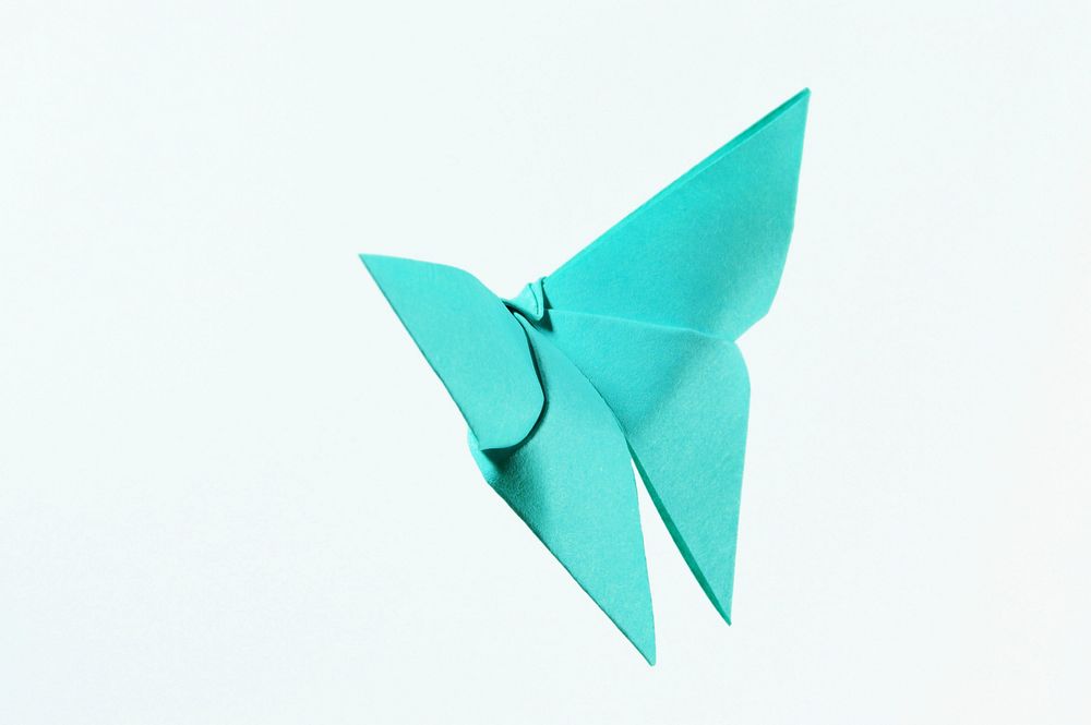 Free blue origami butterfly on white background photo, public domain CC0 image.