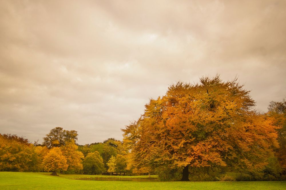 Free autumn scenery image, public domain seasons CC0 photo.