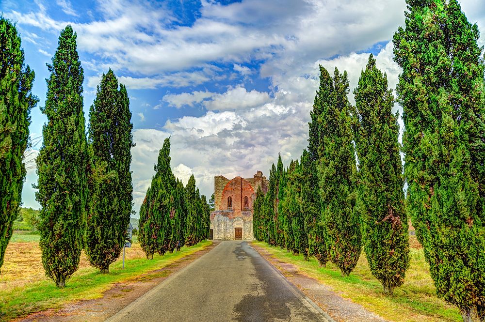 Free nature highway road with trees photo, public domain landscape CC0 image.