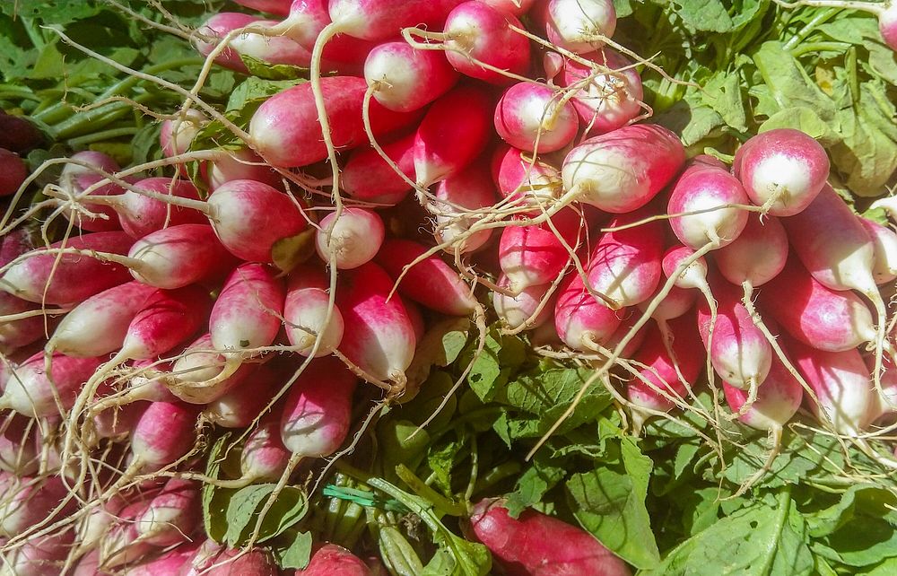 Free pink radish image, public | Free Photo - rawpixel