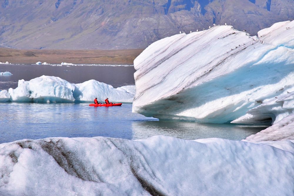 Kayaking near ice bergs, free public domain CC0 photo
