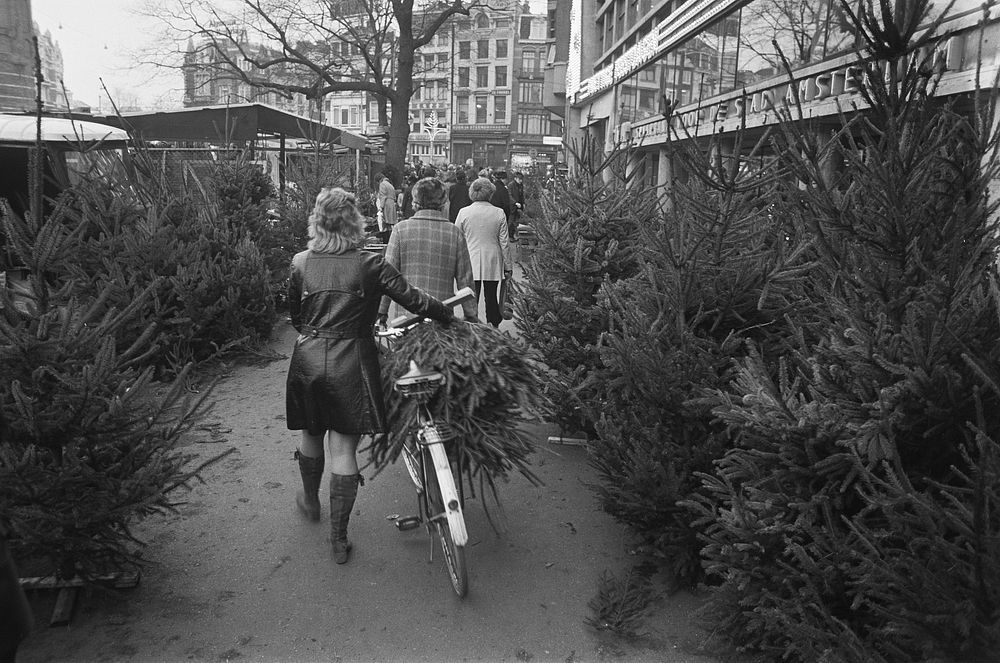 Christmas tres in Amsterdam. Free public domain CC0 photo.