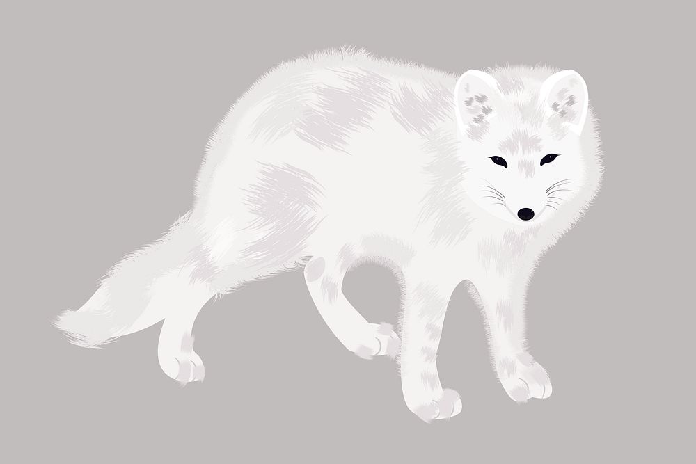 Arctic fox sticker, animal illustration vector. Free public domain CC0 image.