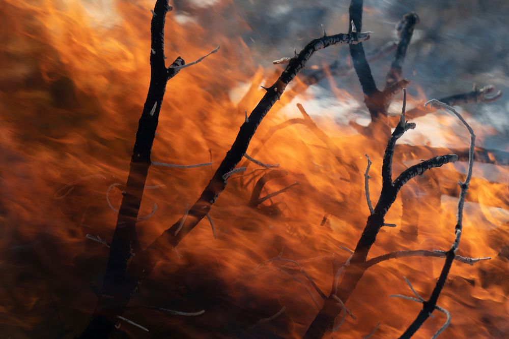 U.S. Department of Agriculture (USDA) Forest Service (USFS) Kaibab National Forest fire personnel Brandon Oberhardt, Quentin…