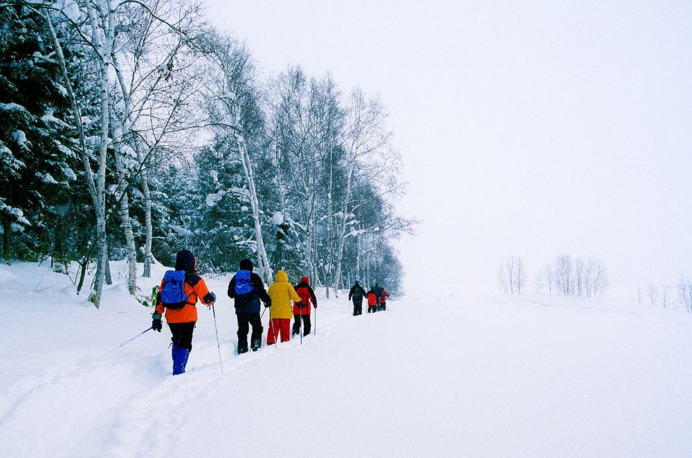 Cross country skiing in Hokkaido, Japan.