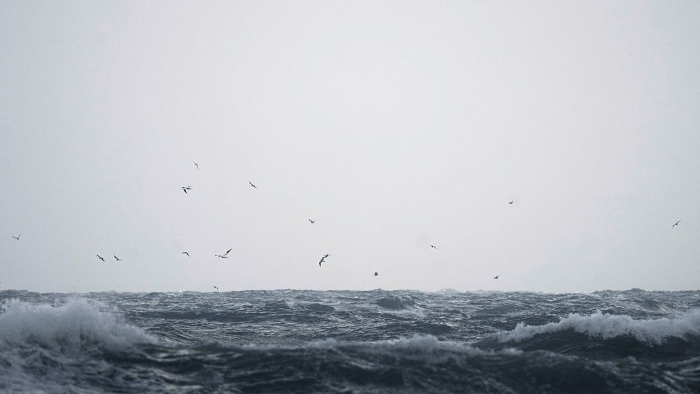 Ocean desktop wallpaper background, HD aesthetic nature photo