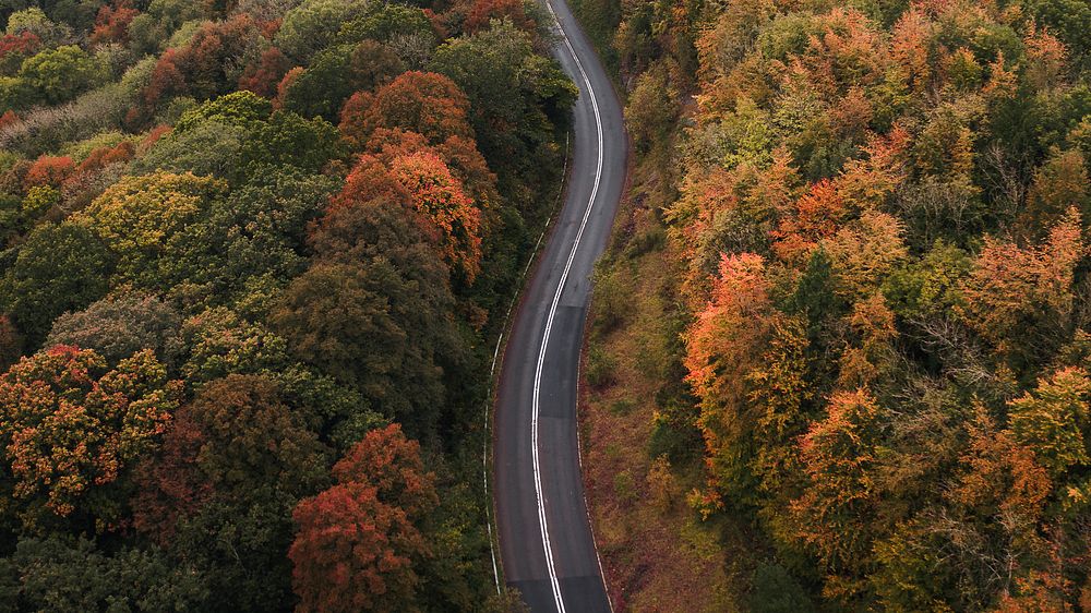 Road through an autumn scenic route 