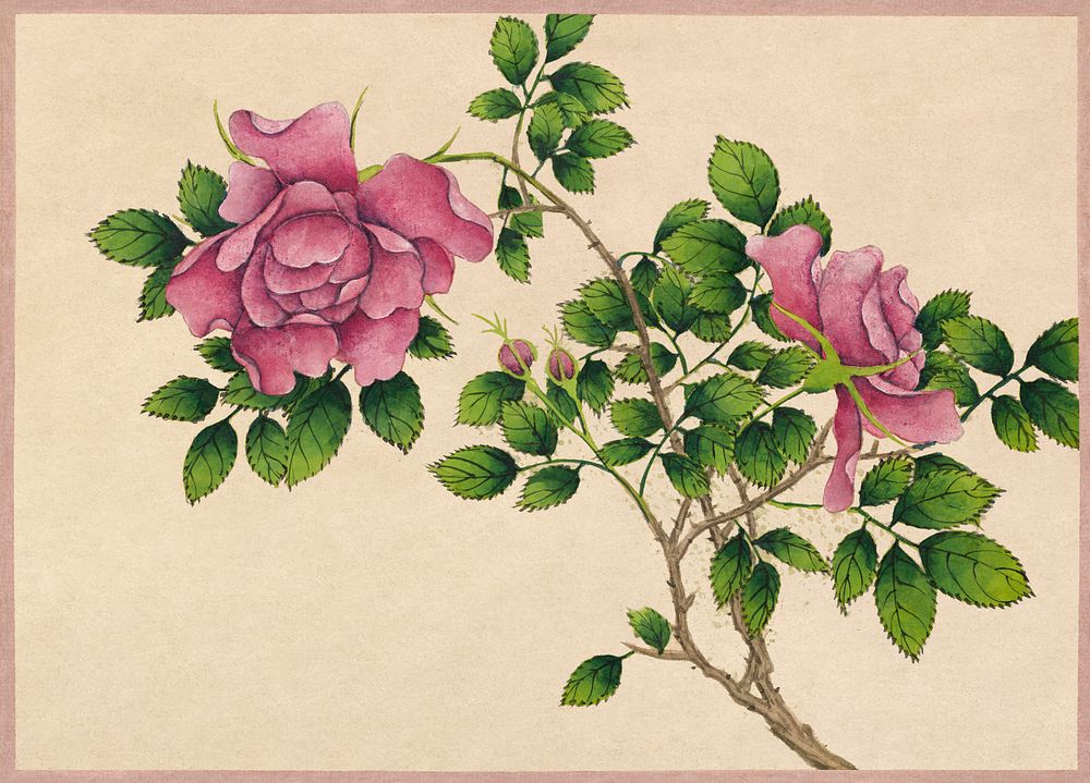Rose (18th Century) painting in high resolution by Zhang Ruoai. Original from The Cleveland Museum of Art. Digitally…