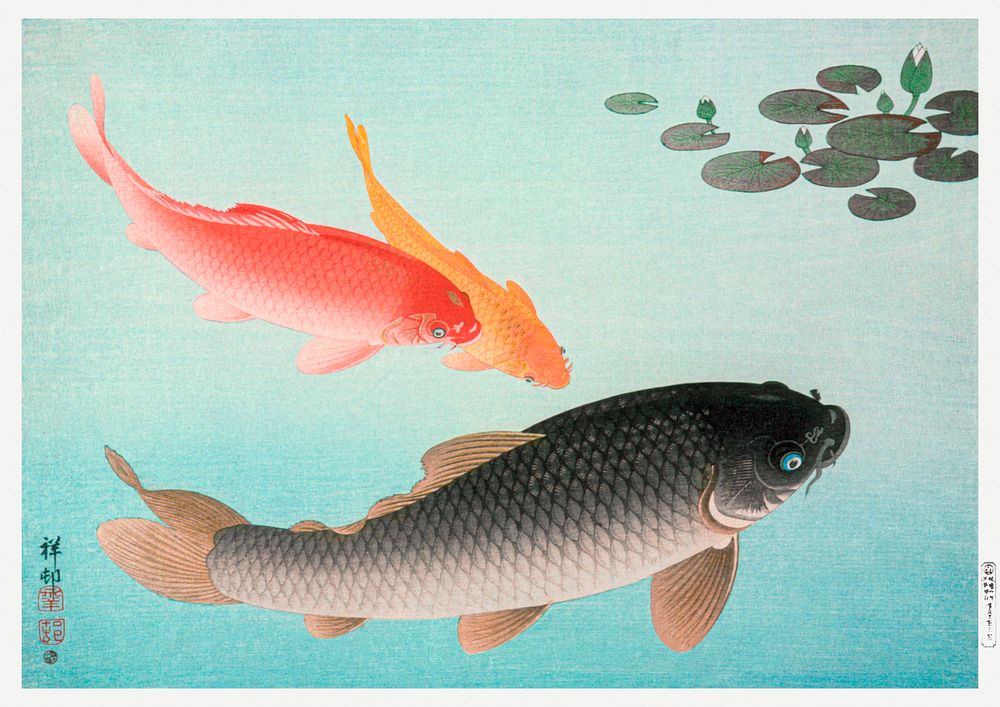 Common and Golden Carp (1935) by Ohara Koson. Original from the Los Angeles County Museum of Art. Digitally enhanced by…