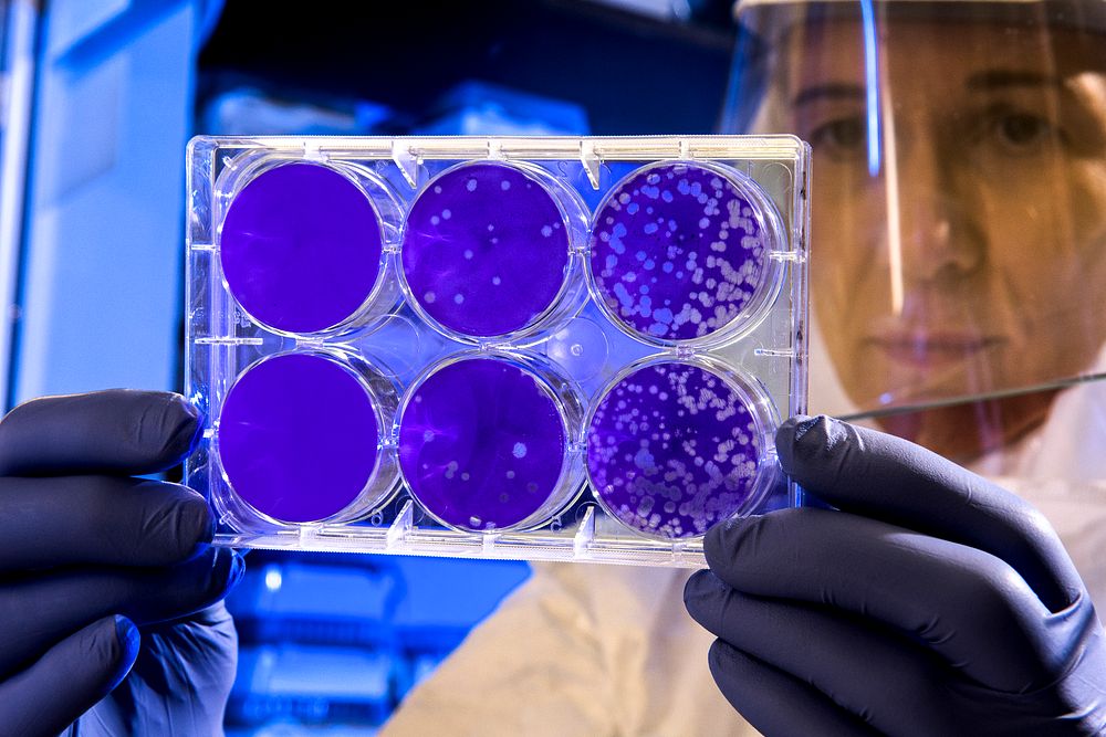 Scientist testing with coronavirus through test tubes. Original image sourced from US Government department: Public Health…