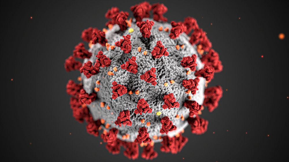 Ultrastructural morphology exhibited by coronaviruses similar to COVID-19 which became pandemic.