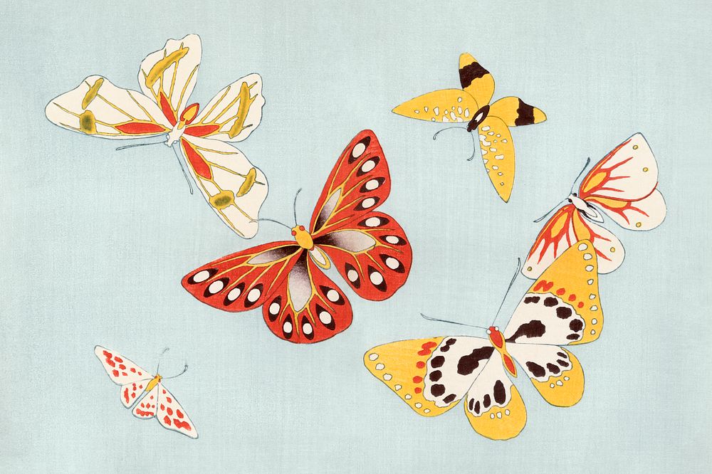 Japanese butterfly. Digitally enhanced from our own original 1904 edition of Kamisaka Sekka's Cho senshu (One Thousand…