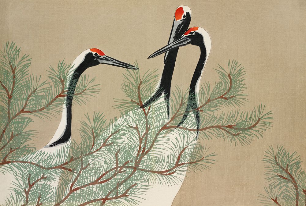 Cranes from Momoyogusa&ndash;Flowers of a Hundred Generations (1909) by Kamisaka Sekka. Original from the The New York…
