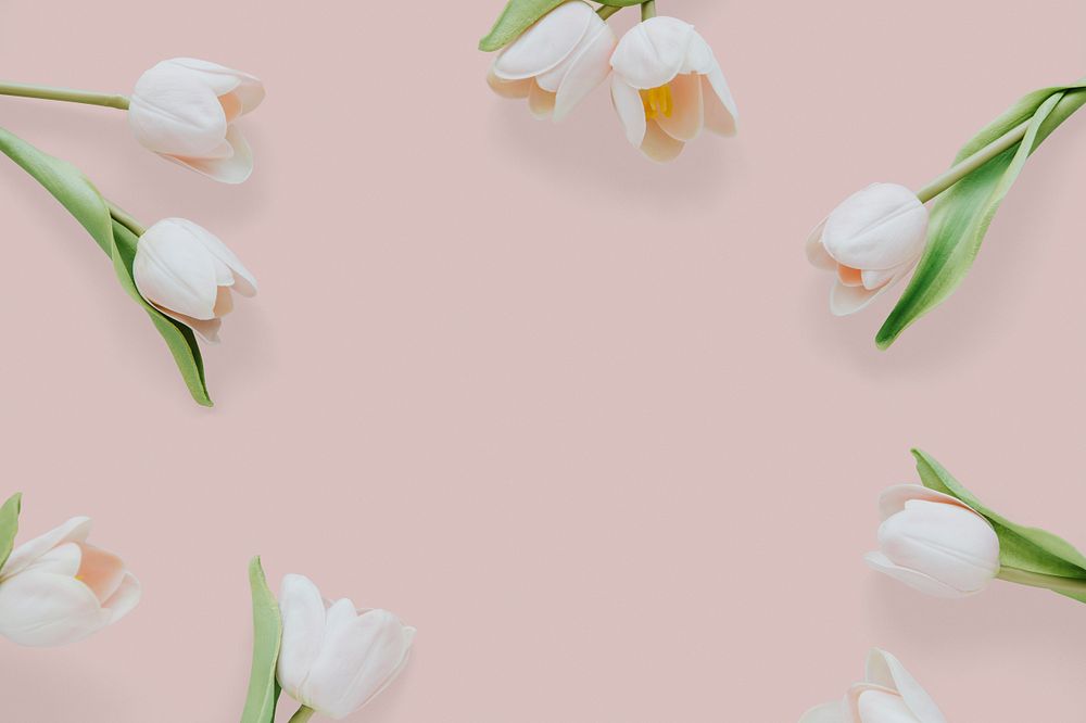 Light pink tulips on blank pink background template