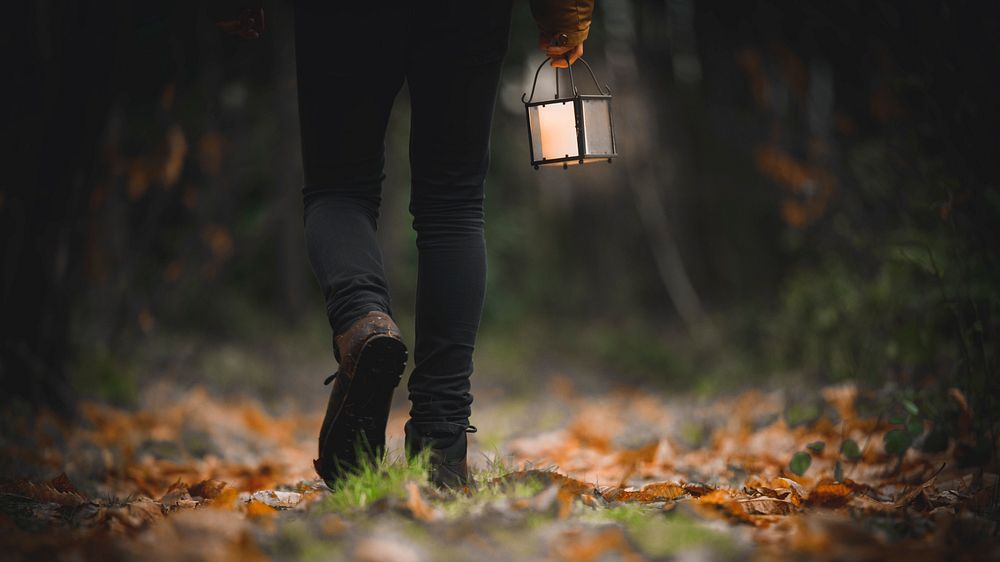 Desktop wallpaper background, man walking with a lantern in a woods