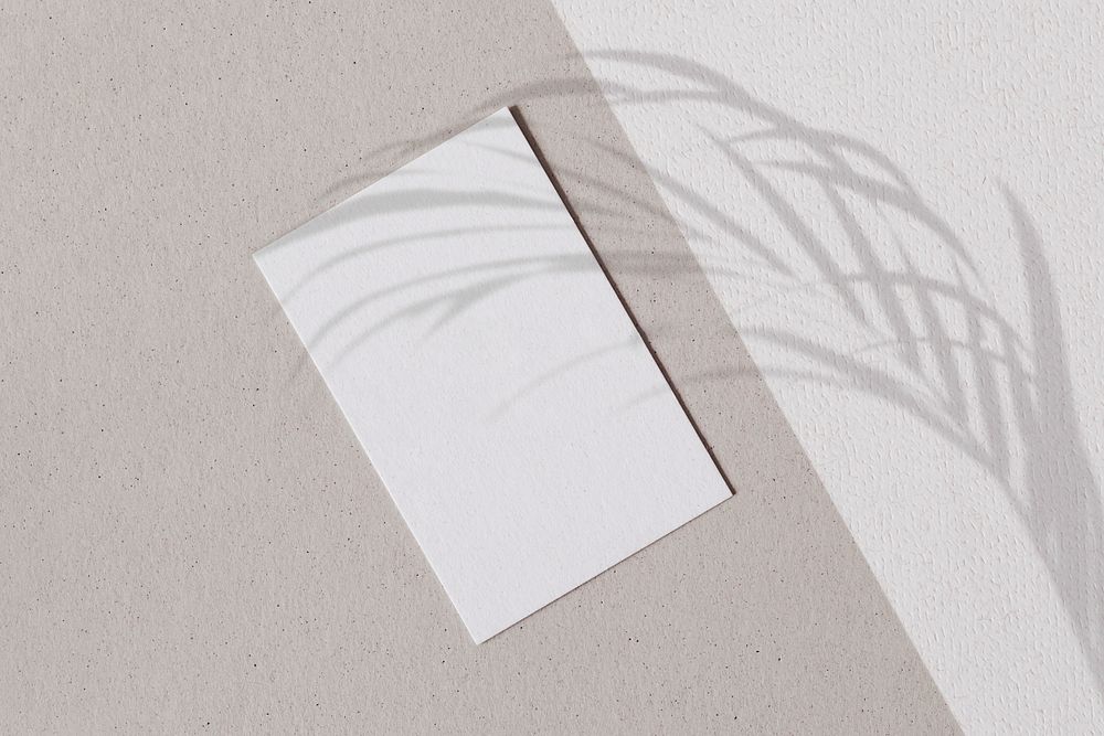 Blank white paper with palm leaves shadow on a two tone wall