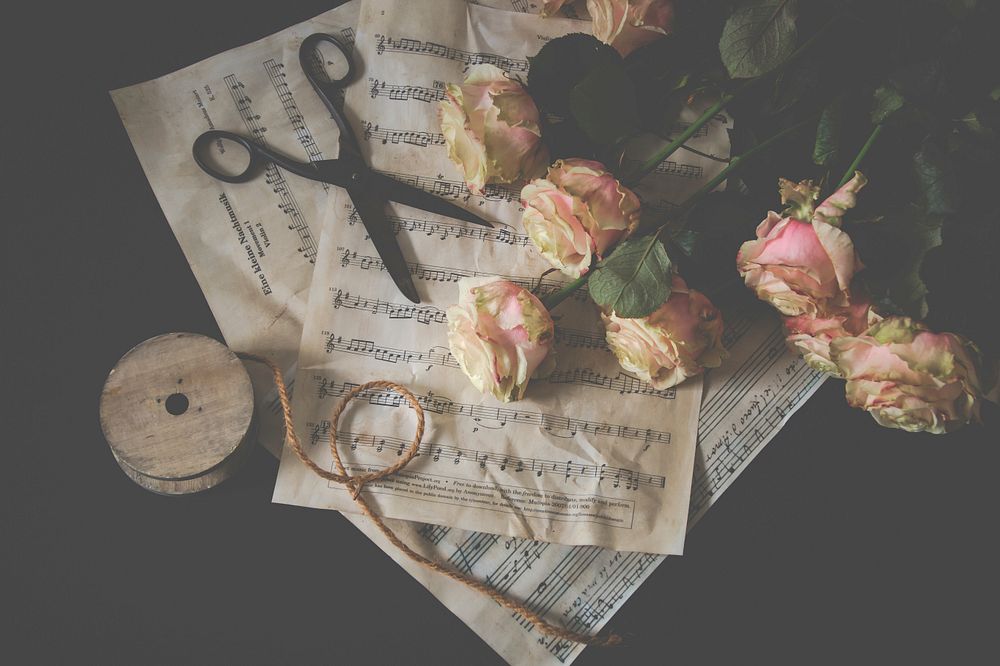 Free roses and music sheets image, public domain aesthetic CC0 photo.