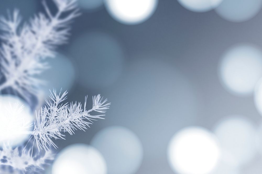 Frosty Images | Free Photos, PNG Stickers, Wallpapers & Backgrounds