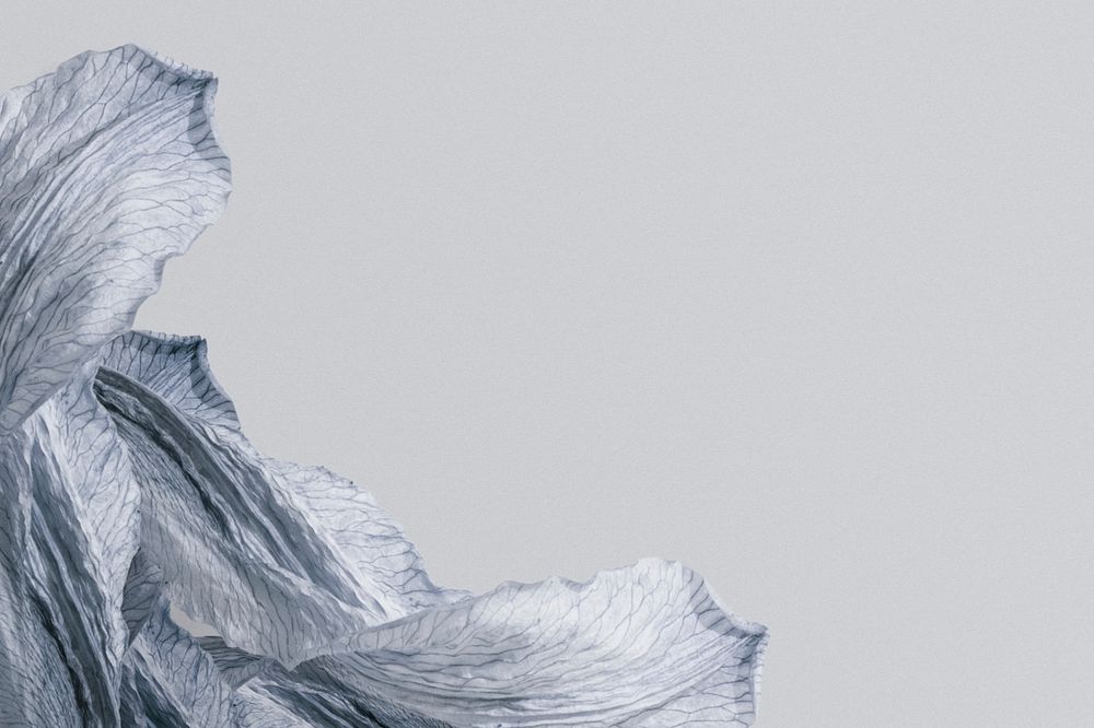 Gray background psd silver flower