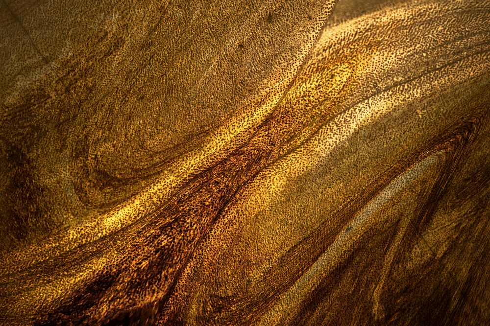 Black Gold Images  Free Photos, PNG Stickers, Wallpapers & Backgrounds -  rawpixel