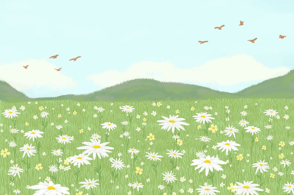 Blooming daisy field psd background with mountain banner