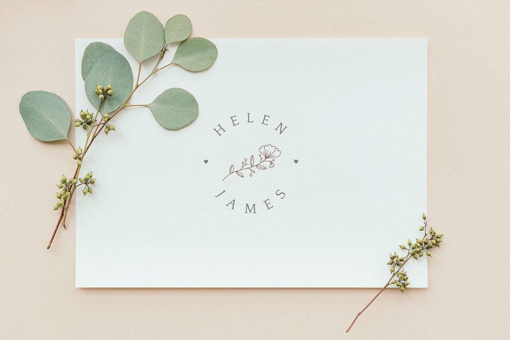 Eucalyptus populus leaves with a white card mockup