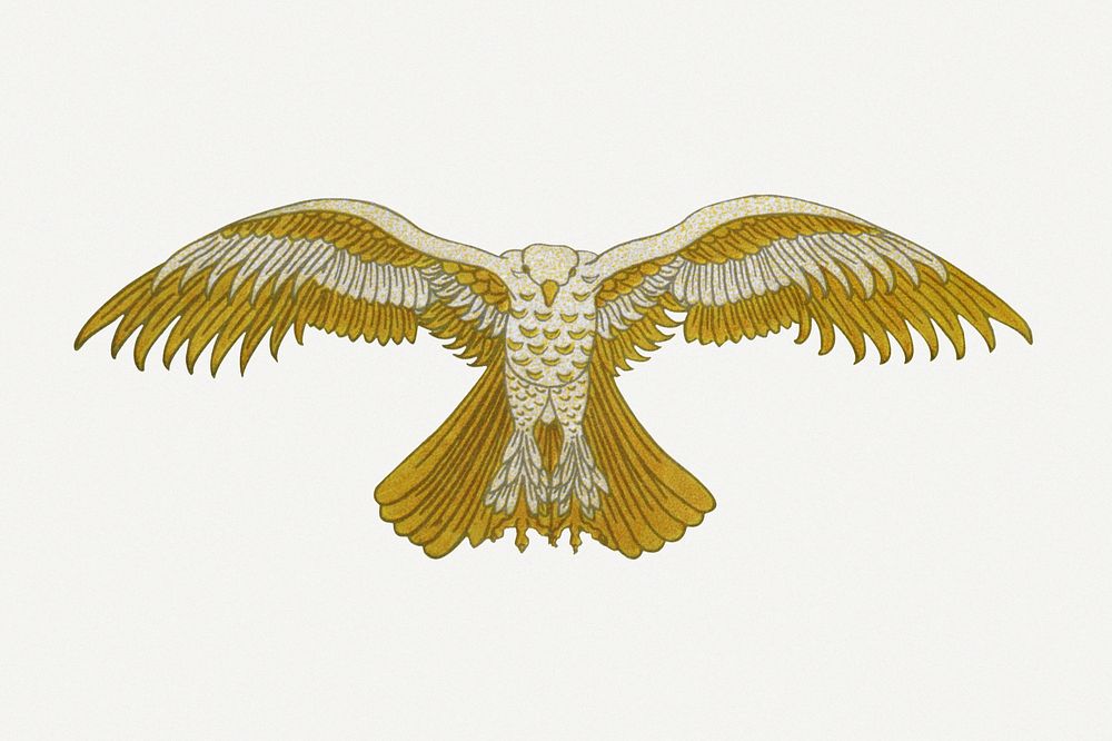 Gold bird, vintage animal illustration