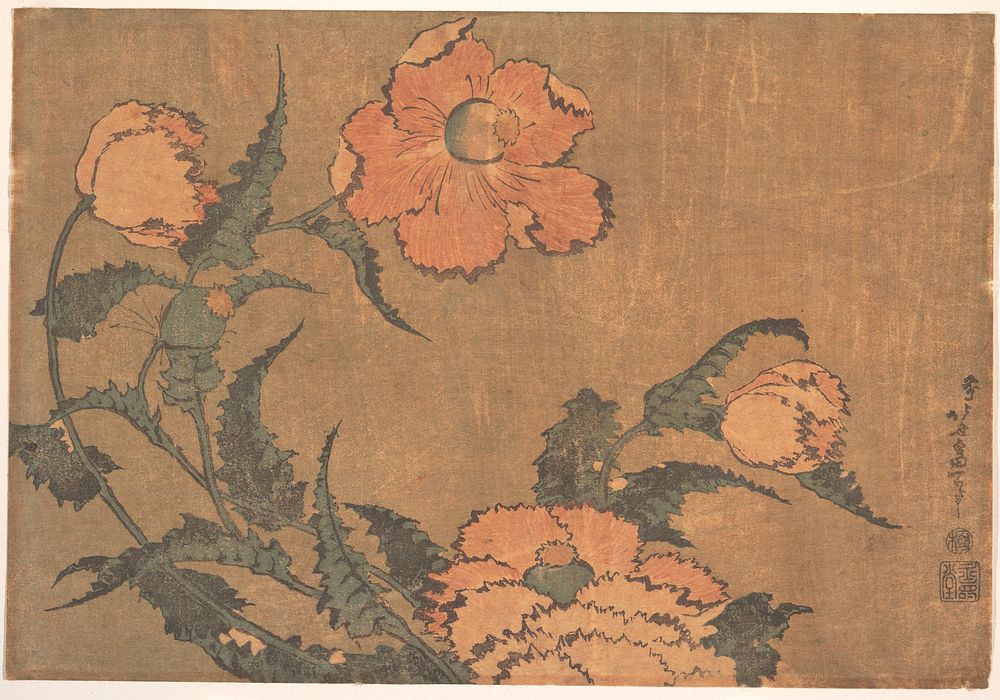 Poppies in the Wind. Original public domain image from the MET museum.