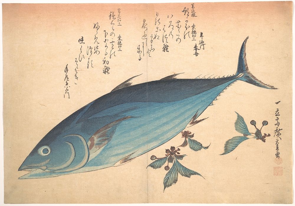 Utagawa Hiroshige (1830) Katsuo Fish with Cherry Buds, from the series Uozukushi (Every Variety of Fish). Original public…