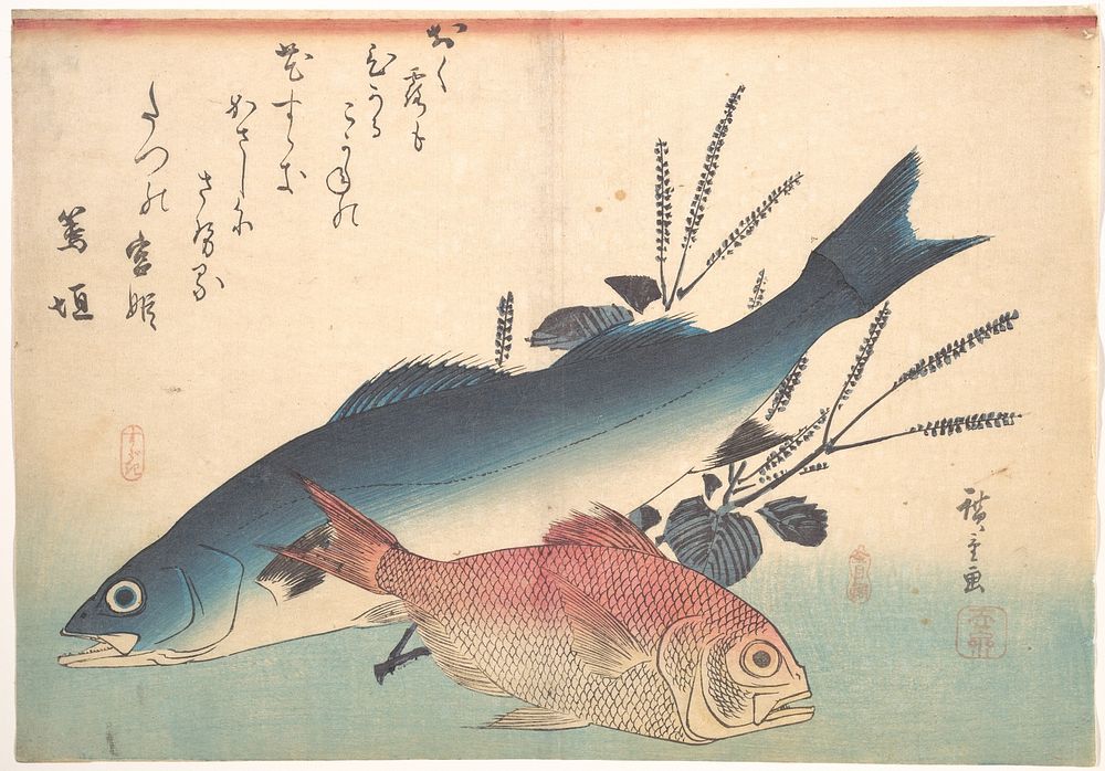 Utagawa Hiroshige (1840) Suzuki and Kinmedai Fish from the series Uozukushi (Every Variety of Fish). Original public domain…