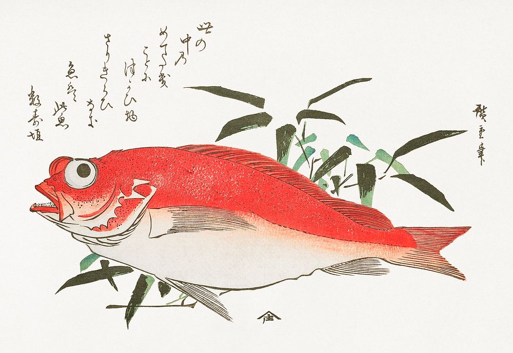 Medetai Fish and Sasaki Bamboo, from the series Uozukushi (Every Variety of Fish) (1840) by Utagawa Hiroshige. Original…