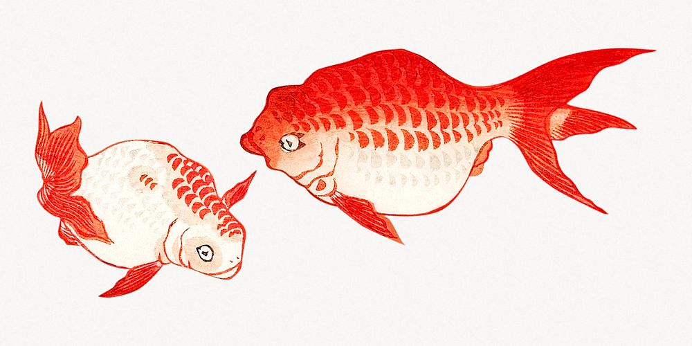 Two Goldfish in Water.  Remastered by rawpixel. 