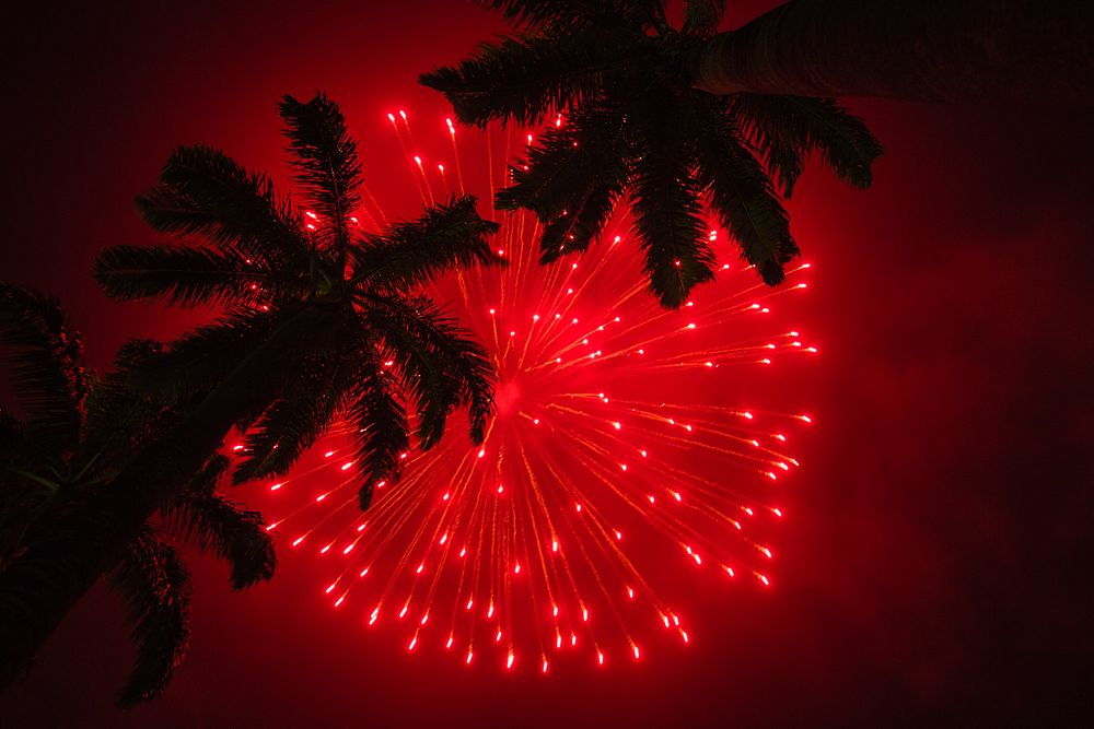 Firework show, tropical, New Year celebration. Original public domain image from Flickr