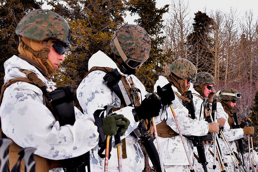 U.S. Marines prepare to move to the firing line at the biathlon range Feb. 21, 2018, at the Northern Warfare Training…