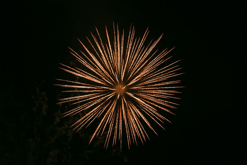 Spiky firework, New Year celebration. Original public domain image from Flickr