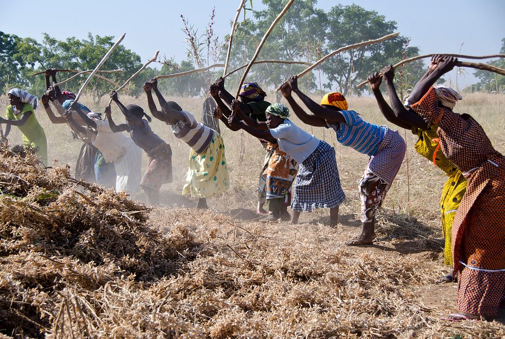 Women Farmers in Ghana