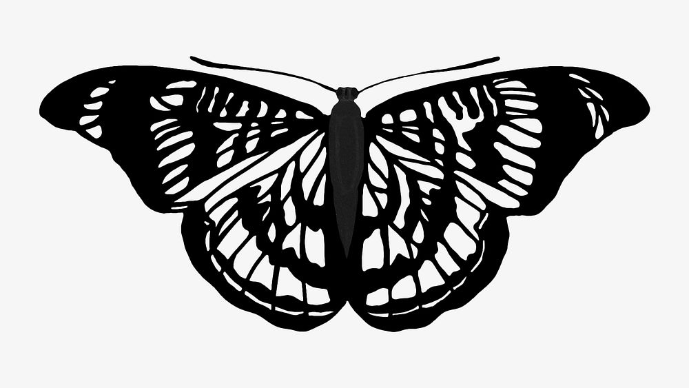 E.A S&eacute;guy's vintage butterfly illustration in black and white. Remixed by rawpixel.