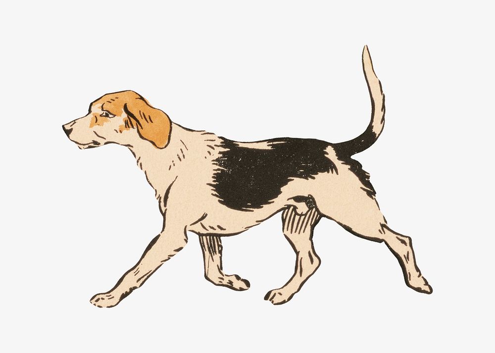 Vintage dog, animal illustration.  Remastered by rawpixel