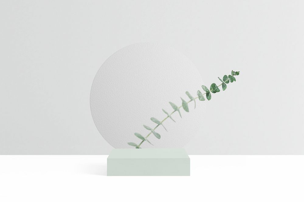 Botanical product backdrop mockup psd, Eucalyptus leaves