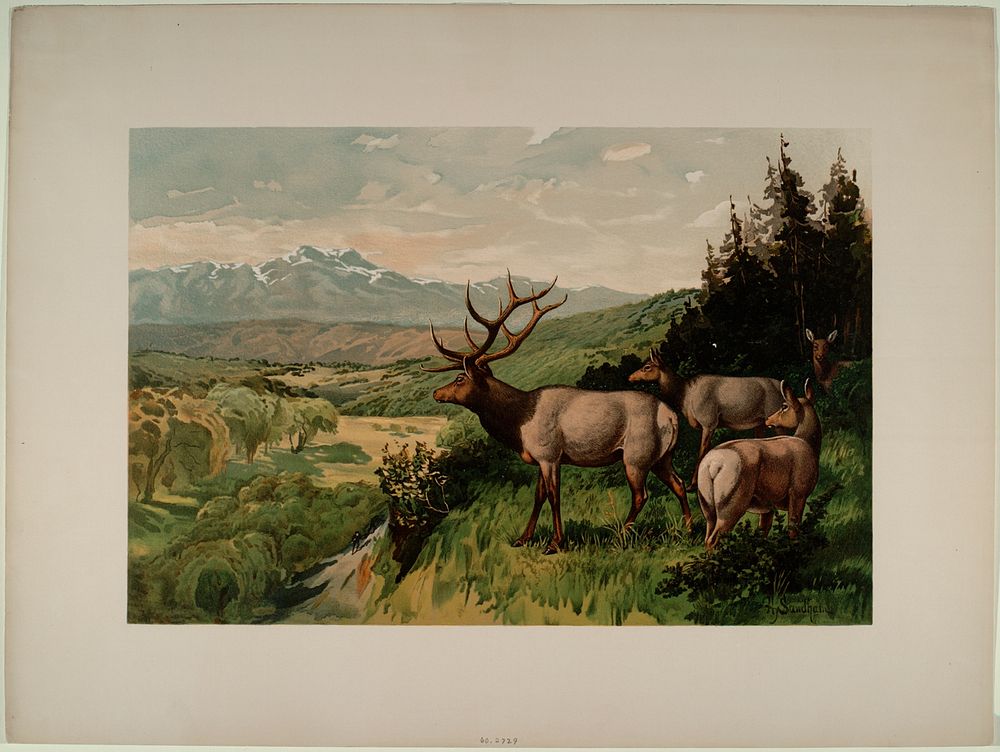 Stalking the Wapiti, Smithsonian National Museum of African Art